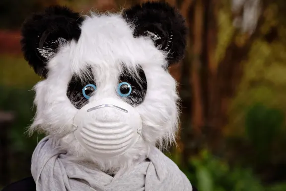 Casino of Dreams Assistance